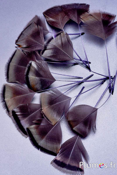 Pétales en plumes - 6-8 x 3-4 cm - gris-anthracite métallisé
